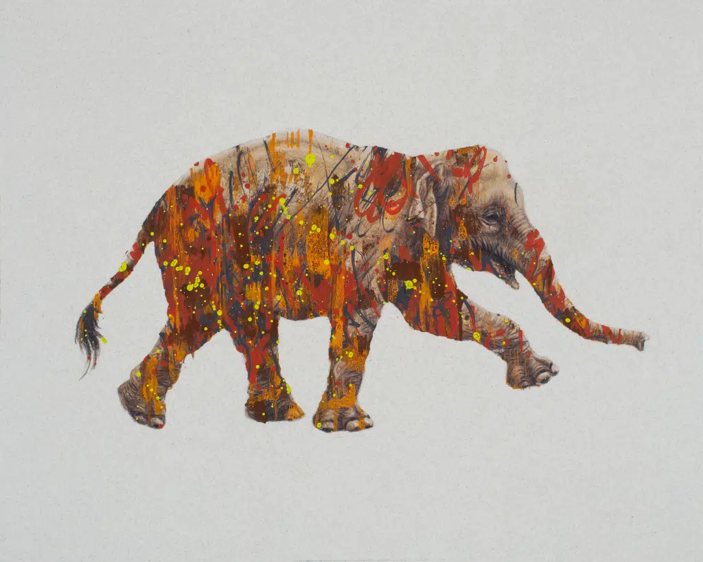 Asian-Elephant-2560 The Forest For The Trees (Asian Elephant)-A color drawing of an Asian Elephant covered with abstract elemants of paint in shades of orange, red and yellow.