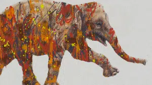 Asian-Elephant-MARQUE-2560