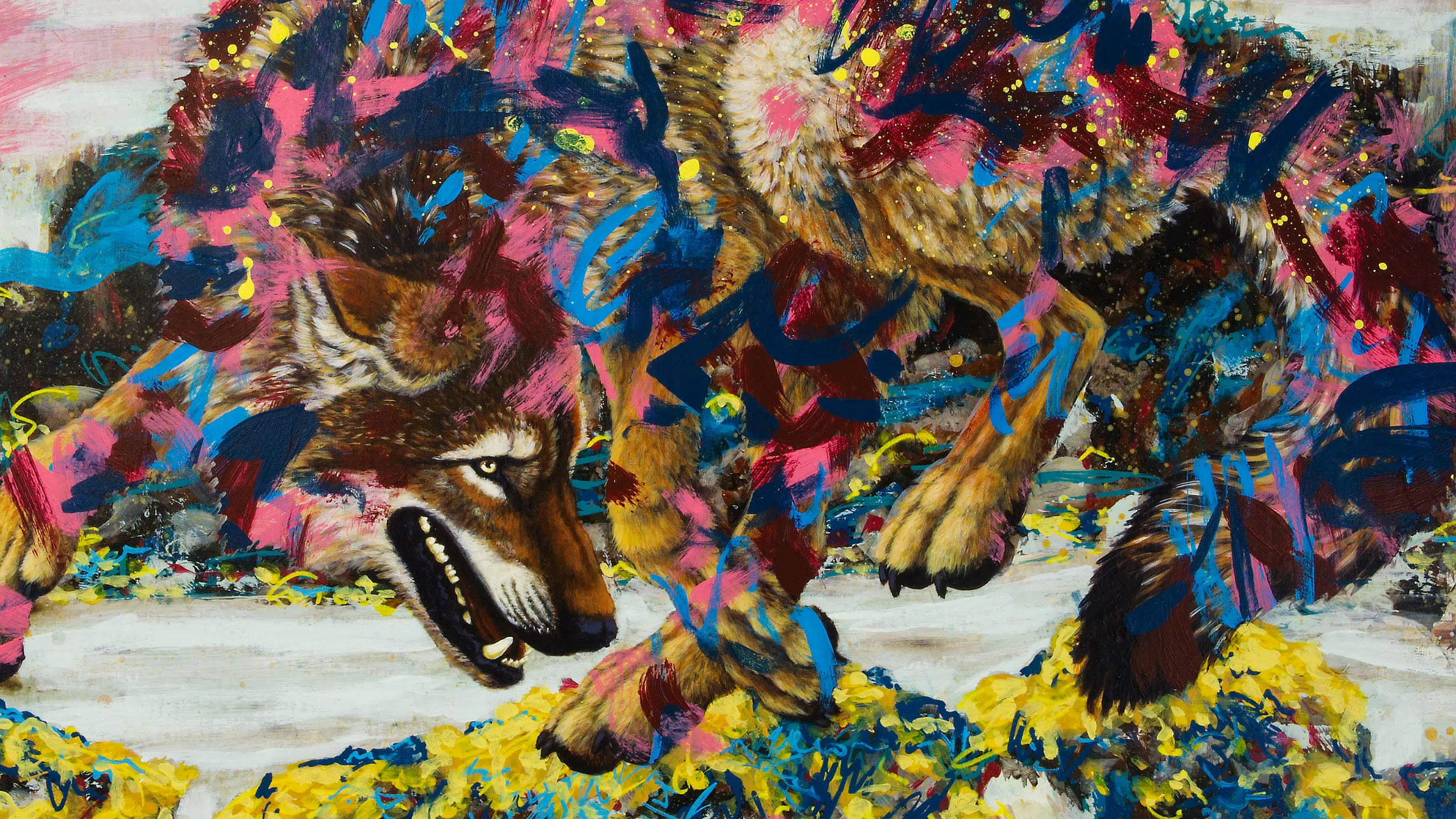 Coastal-Wolf-MARQUE-2560 Coastal Wolf At Play-cropped detail of wolf. A painting of a wolf playfully leaping over some seaweed covered rocks. The rocky coastline background is rendered loosly in an abstract style. The wolf is painted over with abstract elements in various colors.