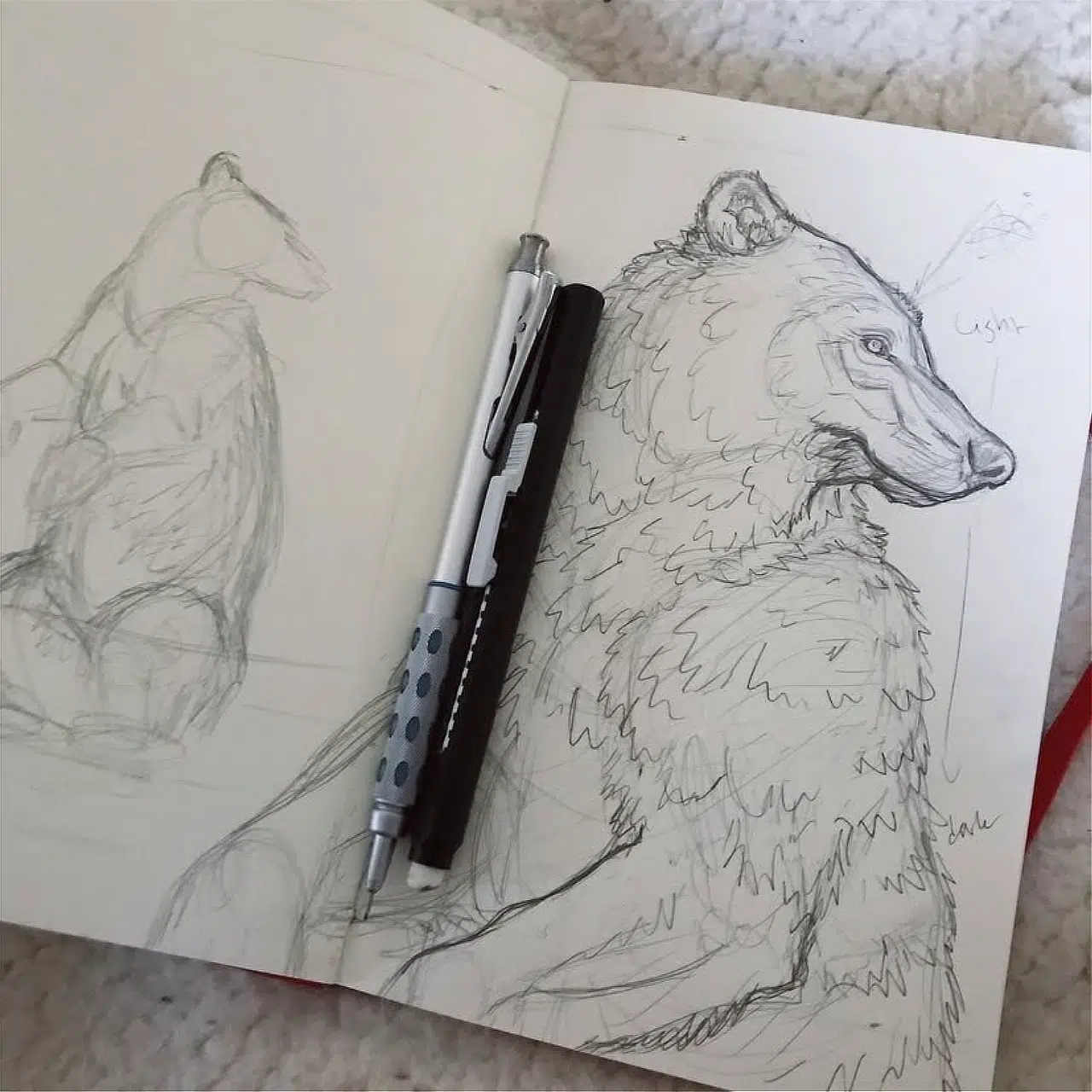 A preliminary sketch of Little Bear.