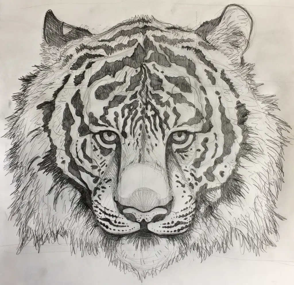 Prliminary sketch of a siberian tiger face for I Don't Want To Live In A World Without Tigers.