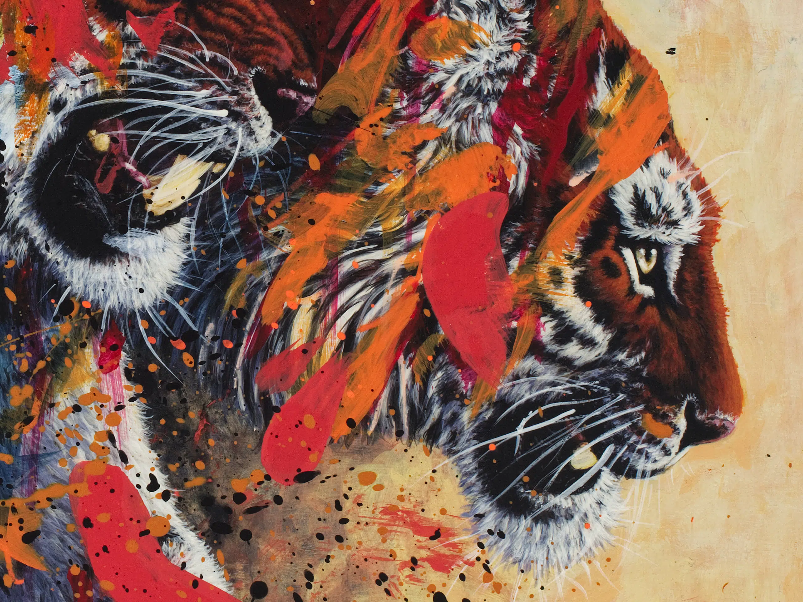 Tiger Friends-cropped detail of second tiger. A painting of two tigers walking out of darkness into light. The tiger in front snarls. The tiger in back has head lowerd, looking forward with moth slightly open. The tigers are painted over with abstract elements in bright pink, orange and yellow.