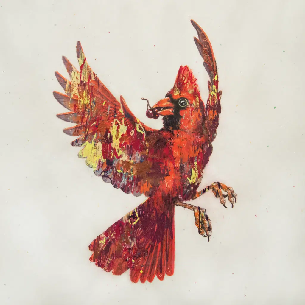 Winter Cardinal-A drawing of a red cardinal in flight, holding a cluster of berries in its mouth. The drawing is colored over with abstract elements of paint in various colors.