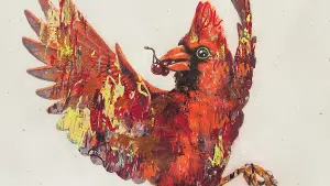 Winter-Cardinal-MARQUE-2560