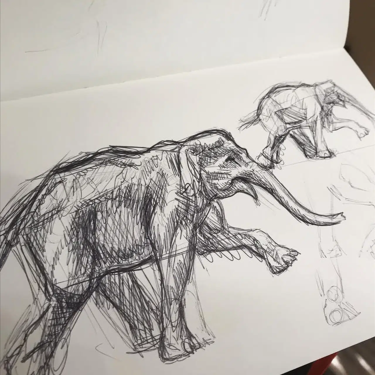 An early study sketch for The Forest For The Trees (Asian Elephant).