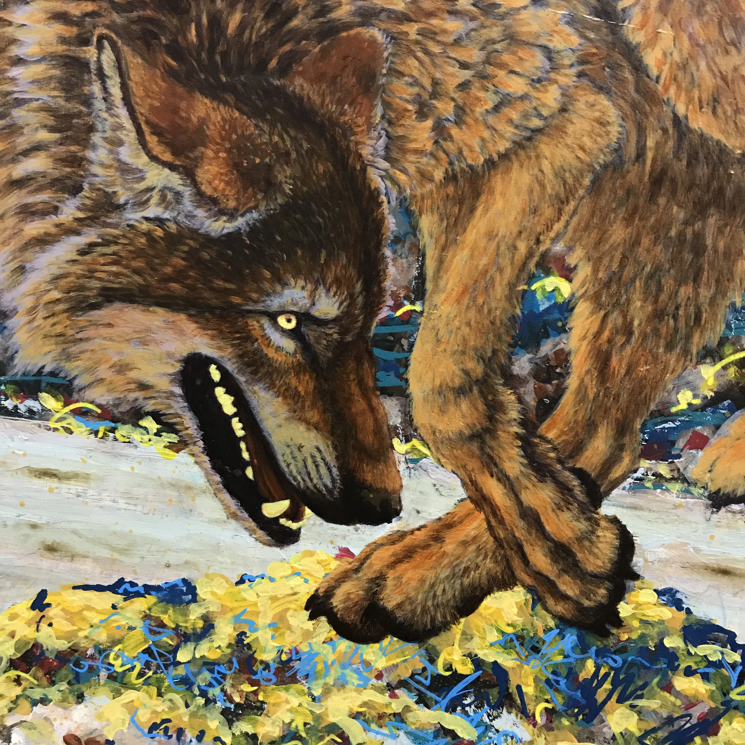 In process photo of Coastal Wolf At Play-closeup of the wolf's face.